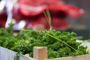 R+M Bremer Lagerhalle Petersilie