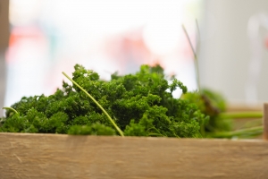 R+M Bremer Lagerhalle Petersilie