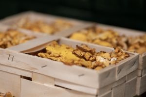 R+M Bremer Lagerhalle Pfifferlinge