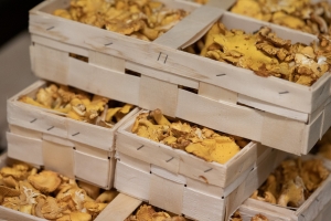 R+M Bremer Lagerhalle Pfifferlinge