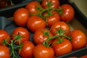 R+M Bremer Lagerhalle Tomaten