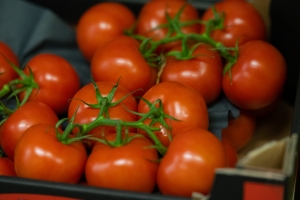 R+M Bremer Lagerhalle Tomaten