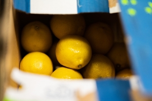 R+M Bremer Lagerhalle Zitrone