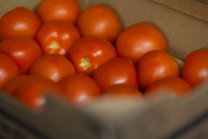 R+M Bremer Lagerhalle Tomaten