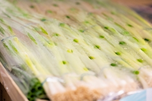 R+M Bremer Lagerhalle Lauch