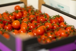 R+M Bremer Lagerhalle Tomaten