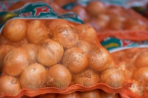 R+M Bremer Lagerhalle Zwiebeln